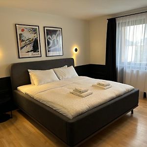 Suite King cu un dormitor